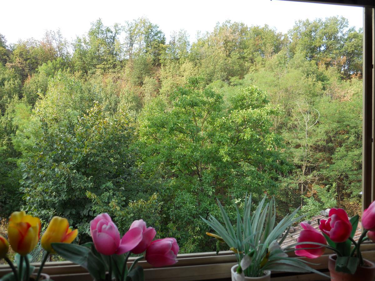 Stazzano Casa Clotilde Bed & Breakfast エクステリア 写真