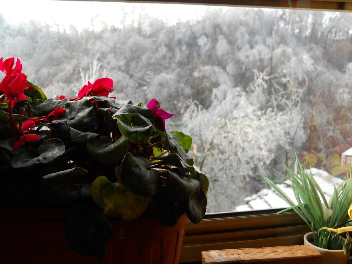 Stazzano Casa Clotilde Bed & Breakfast エクステリア 写真